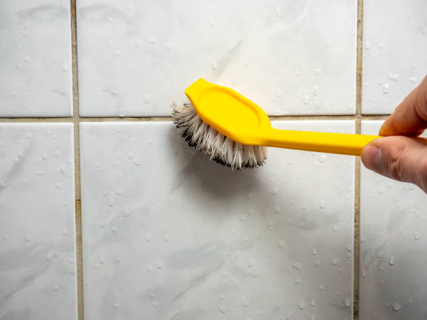 Best Basement Mold Remediation in Colfax, WA