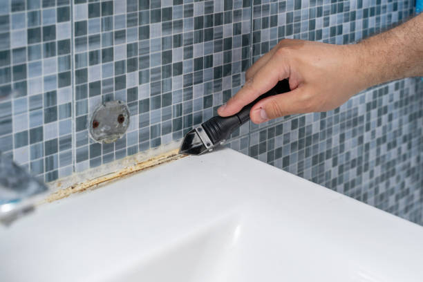 Best Mold Remediation for Specific Building Types in Colfax, WA