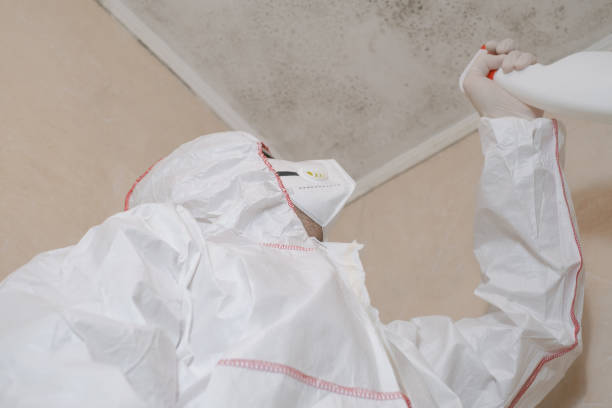 Best Bathroom Mold Remediation in Colfax, WA