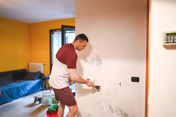 Best Localized Mold Remediation (e.g., coastal areas, humid climates) in Colfax, WA